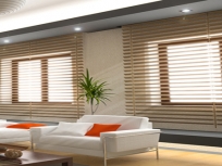 horizontal-blinds-3
