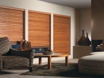 horizontal-blinds-5